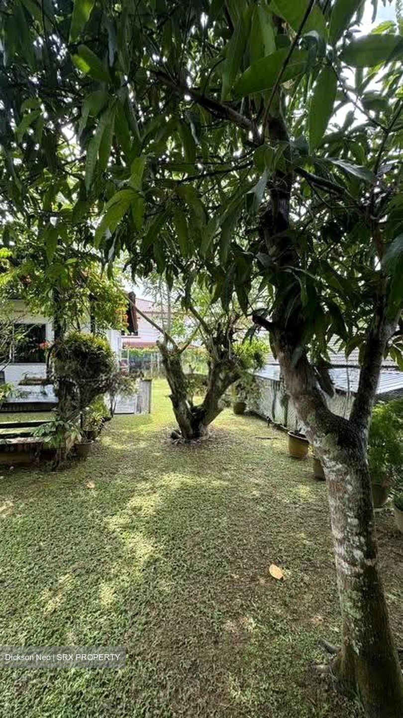 Cashew Road (D23), Detached #614429901